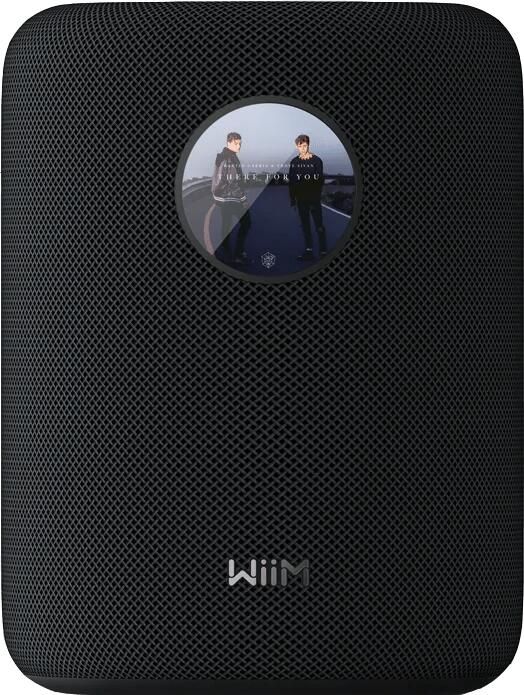 WiiM Sound Zwart