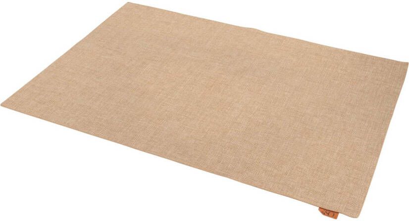 4 Seasons Outdoor 4SO Vloerkleed outdoor rug dust 160 x 240 cm