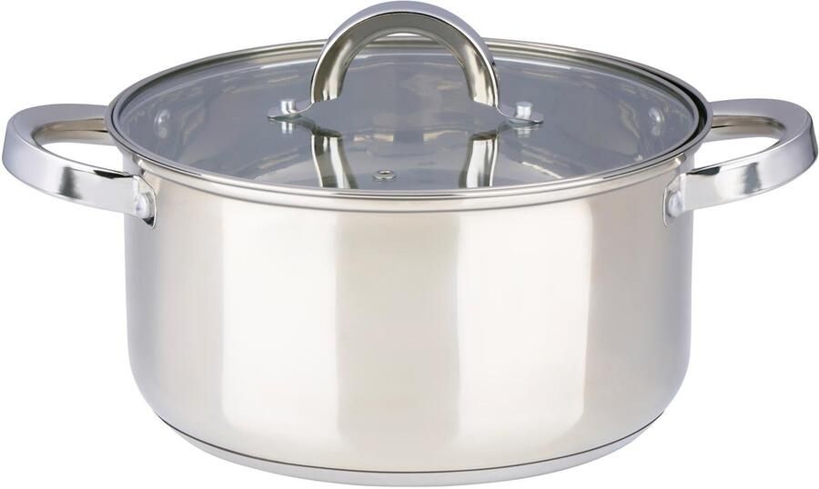 Alpina kookpan met deksel 4.6 liter 2cm inductie