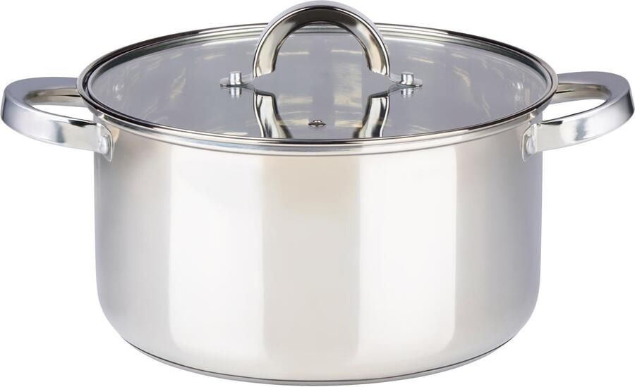 Alpina kookpan met deksel 5.9 liter 4cm inductie