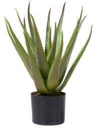 COCO maison Kunstplant Aloe plante 50cm
