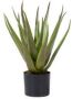 COCO maison Kunstplant Aloe plante 50cm - Thumbnail 1