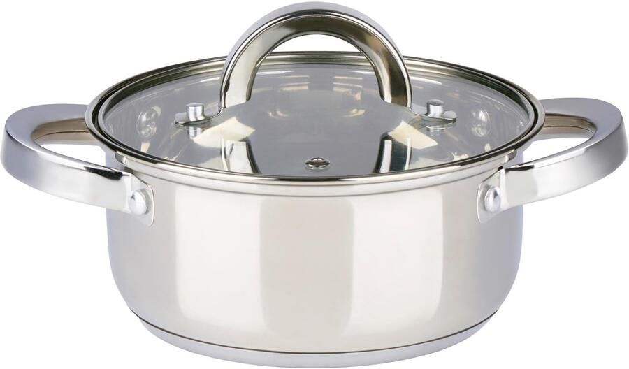 Coppens ALPINA Pan met deksel 6cm 1.9L geschikt voor inductie