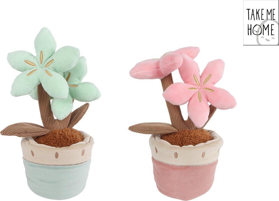 Coppens Take me home plant met 2 bloemen L pluche 2ass 24cm
