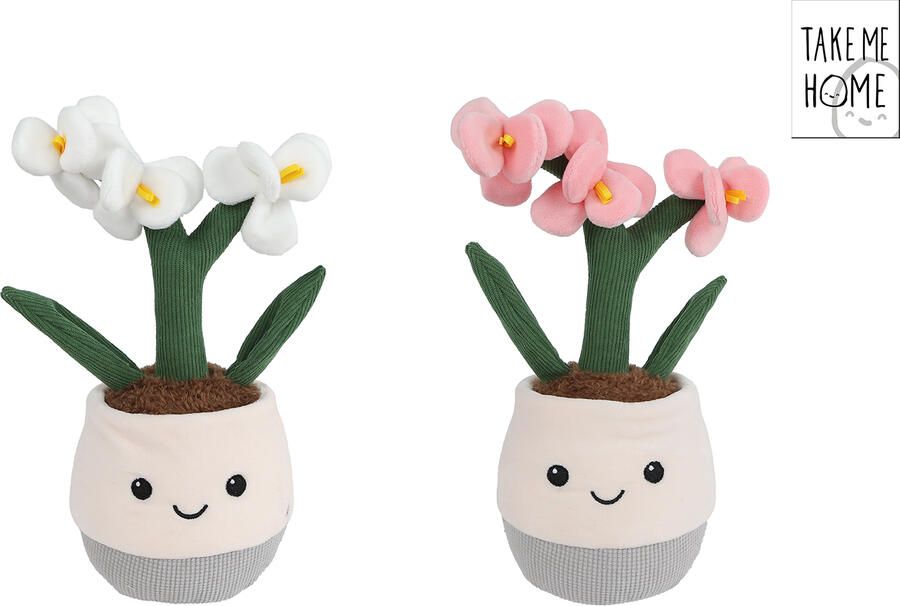 Coppens Take me home plant pluche orchidee L 2ass 23cm