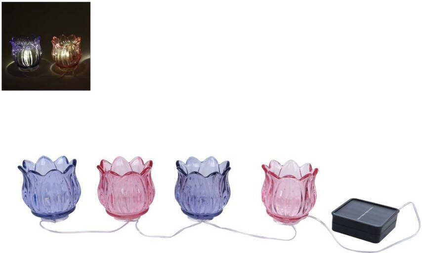 Coppens Lichtsnoer LED Tulp 4x solar paars roze glas