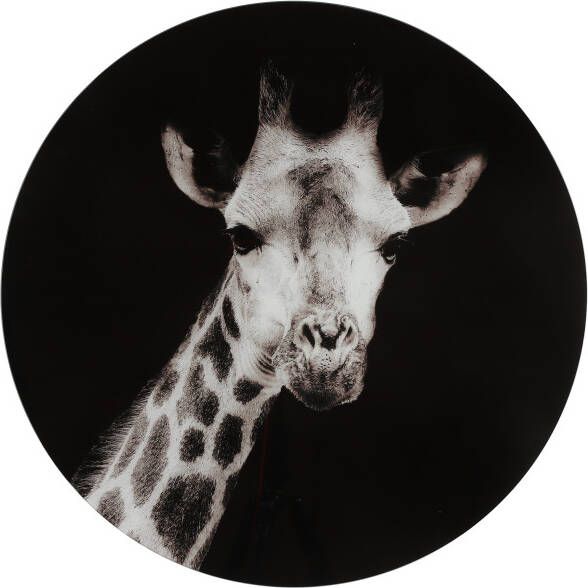 Coppens Schilderij Giraffe rond L zwart wit-L0 4B60H60CM