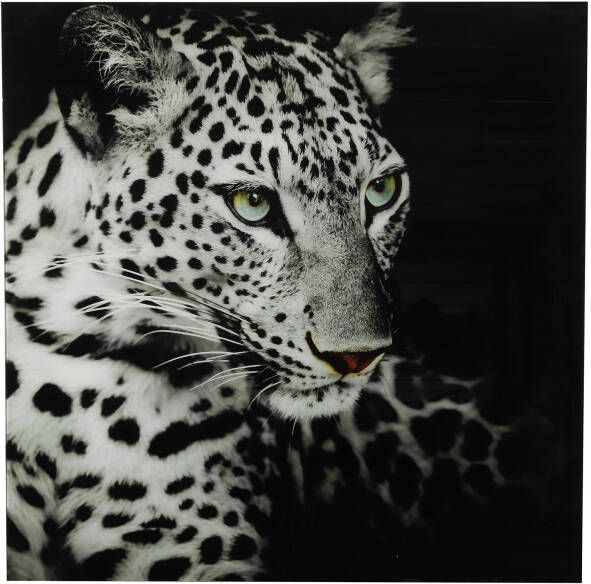 Coppens Schilderij luipaard C vk Wild life L zwart wit-L0 4B80H80CM