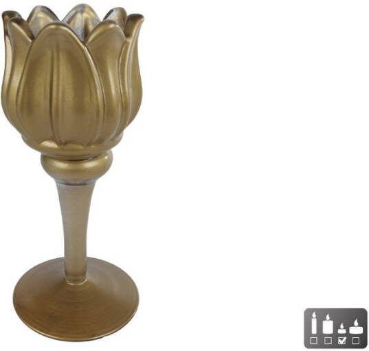 Coppens Theelichth Tulip mat goud glass