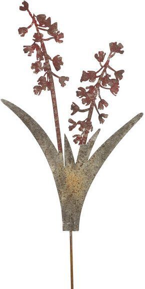Coppens Tuinsteker bloem Belia S roze