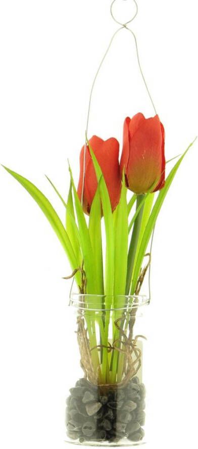 Coppens Tulip yara in glass pot w hanger red 24cm