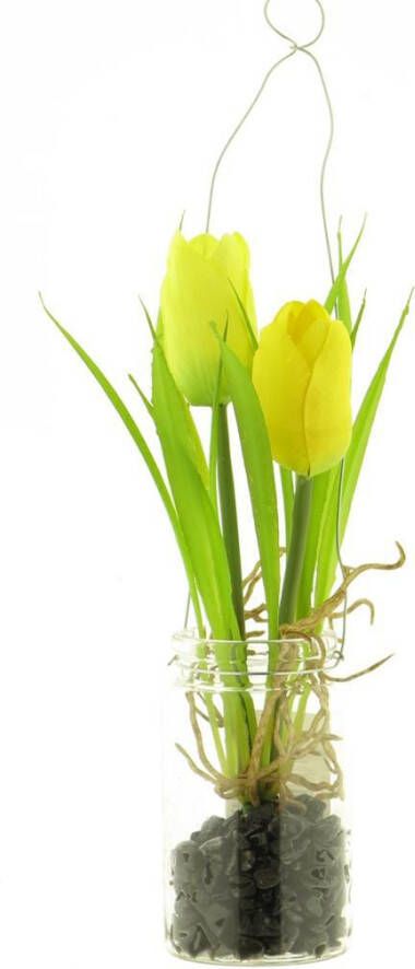 Coppens Tulip yara in glass pot w hanger yellow 24cm