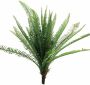 Nova Nature (Best) UV Fern Torres Sunrise 60cm (6 months UV-protected) - Thumbnail 2