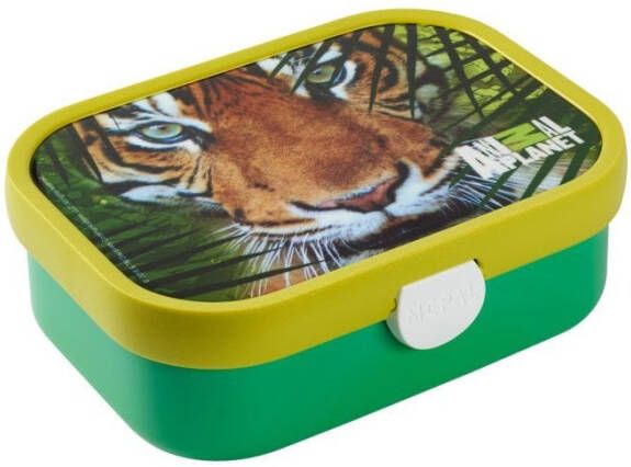 Mepal lunchbox Campus met bentobakje animal planet tijger