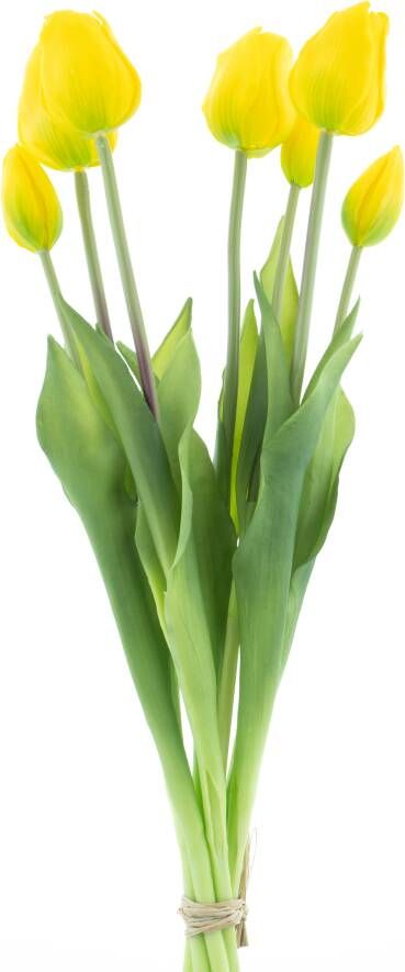 Nova Nature Classic tulip bundle Sally x7 yellow 47cm