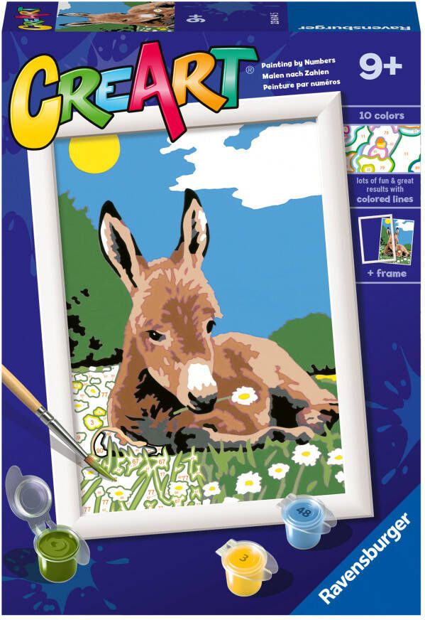 Ravensburger CreArt Little Donkey Schilderen op nummer voor kinderen