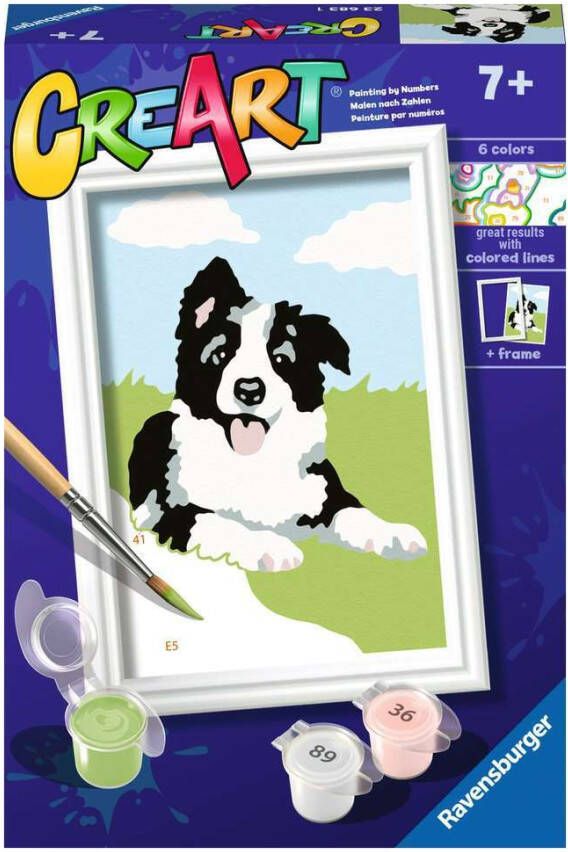 Ravensburger CreArt Border Collie Schilderen op nummer voor kinderen