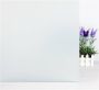 Wicotex Raamfolie 45x200cm HR++ MELKGLAS WIT Eenvoudige montage zelfklevende raamfolie Zonwerend – Isolerend – Anti Inkijk – Statisch - Thumbnail 2
