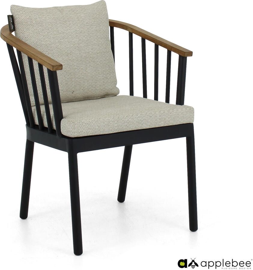 Apple Bee Condor dining armchair 60 alu Black SVLK teak arm Natural Bee Wett seat+ - Foto 2