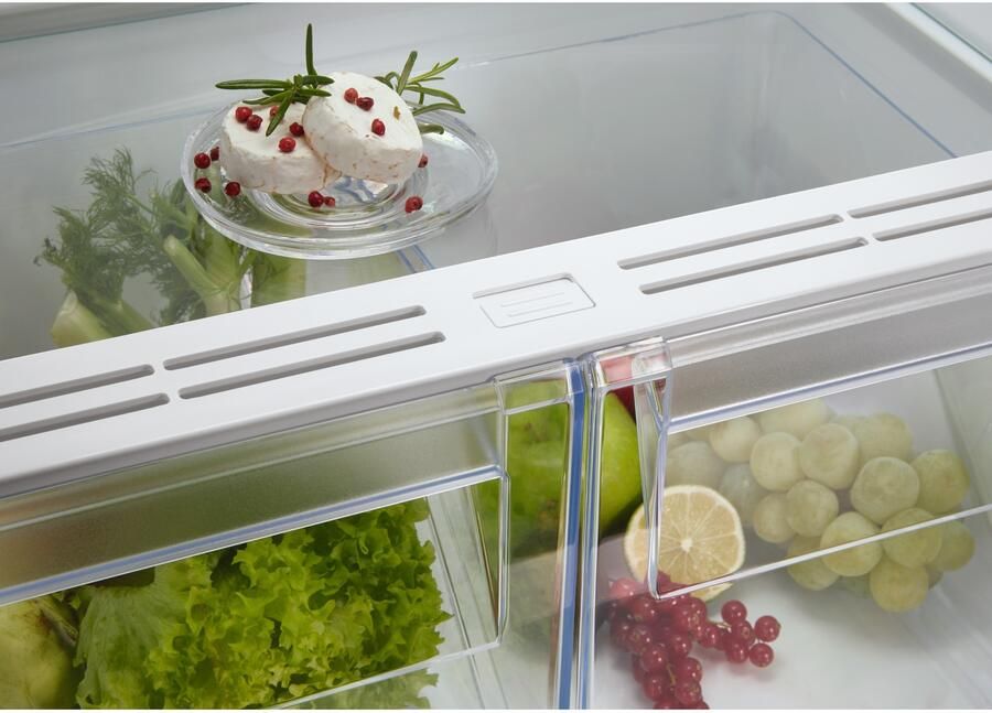 AEG 5000 SERIE COLDSENSE KOEL VRIESKAST INBOUW 178 CM TSC5S181DF