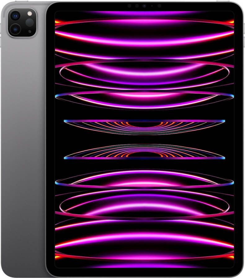 Apple iPad Pro (2022) 11 inch 1TB Wifi Space Gray