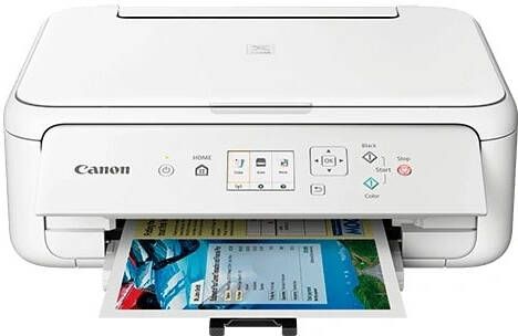 Canon PIXMA TS5151 All-in-one inkjet printer Wit