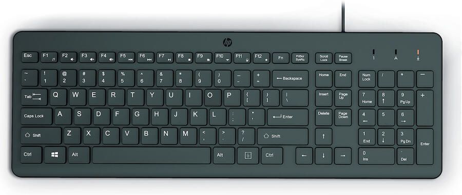 HP 150 Bedraad Toetsenbord Zwart
