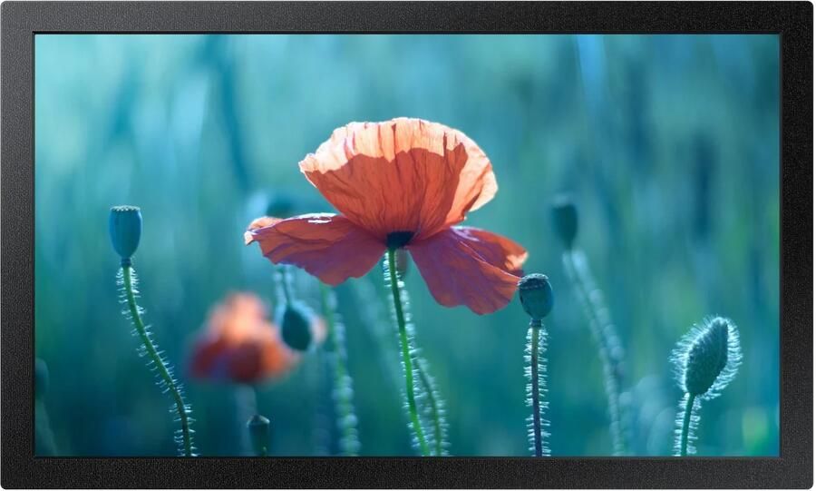 Samsung Stand Alone QB13C Serie 13.3i Edge LED Monitor Zwart