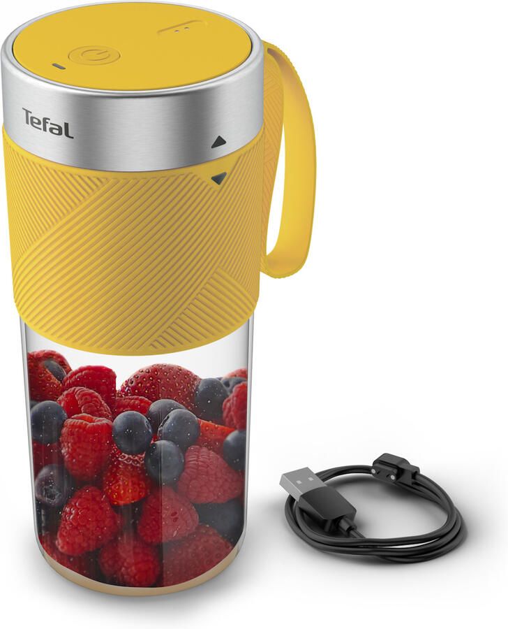 Tefal BL1C02 Blender Grijs