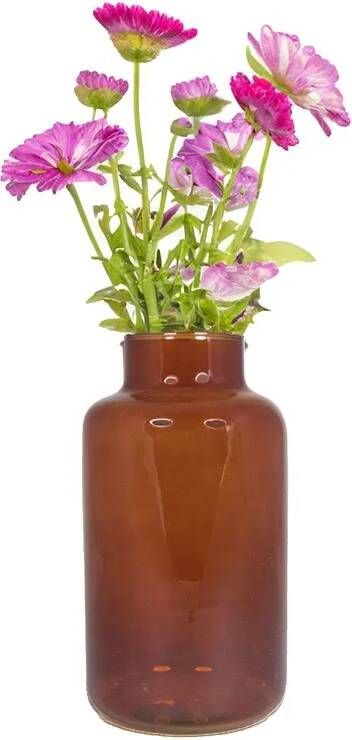Bela Arte Bloemenvaas Milan transparant bruin D15 x H25 cm melkb