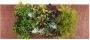 Beliani OSMIA- Decoratie met kunstplant Groen Synthetisch materiaal - Thumbnail 2