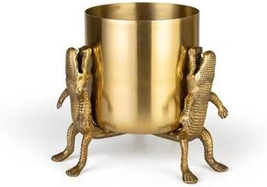 Bold Monkey Surrounded By Crocodiles vaas M Goud