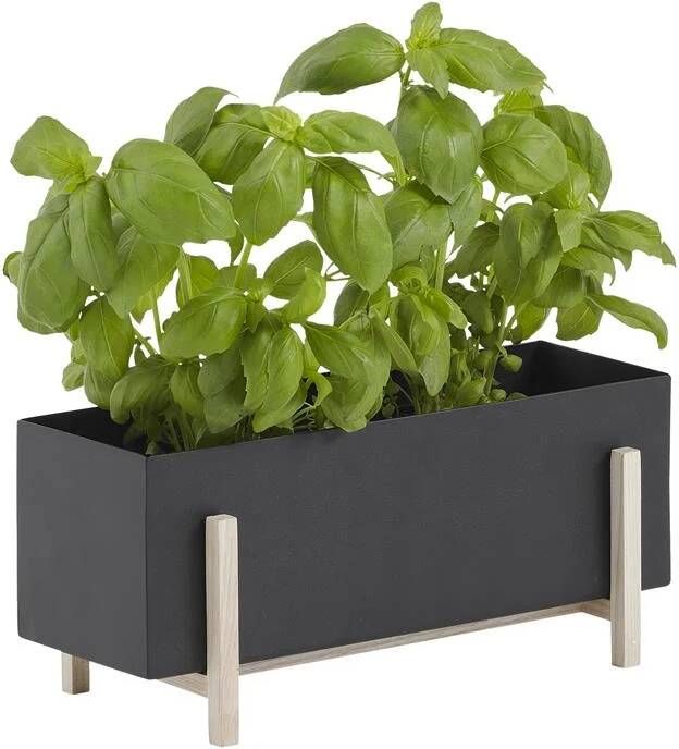Design House Stockholm Botanic Kruidenbox