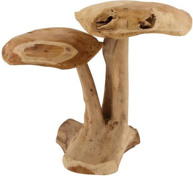 Dijk Natural Collections DKNC Decoratie paddenstoel Teak hout 42x26x39cm Bruin