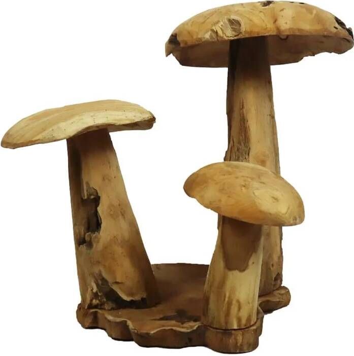 Dijk Natural Collections DKNC Decoratieve paddenstoel Teak hout 60x70x65cm Beige