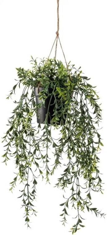Emerald kunstplant hangplant Buxus groen 50 cm lang Kunstplanten - Foto 2