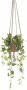 Woonexpress Hangplant Philodendron Groen Polyester Groen 90x0x0cm (hxbxd) - Thumbnail 2