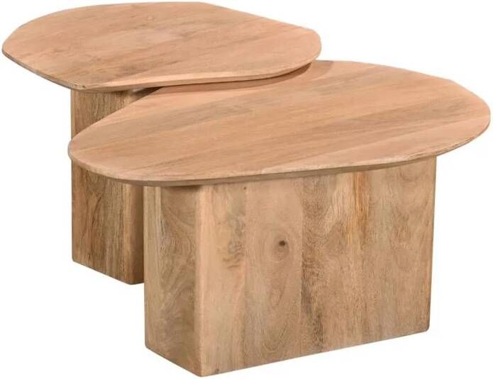 Giga Meubel Salontafel Naturel Set Van 2 70x60x35cm Jinte
