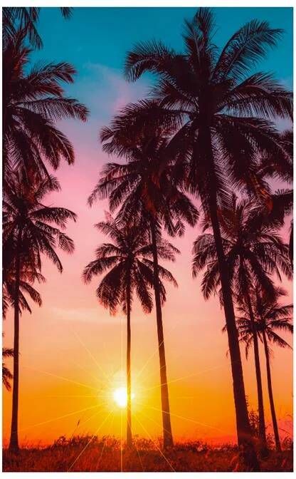 Good morning Strandlaken BORA Microvezel 100x180 Sneldrogend Zomer Strand Palm (1 stuk) - Foto 2