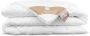 Heckett & Lane All Year dekbed Gold Label 100% kunstvezel 260x220 cm Leen Bakker - Thumbnail 2