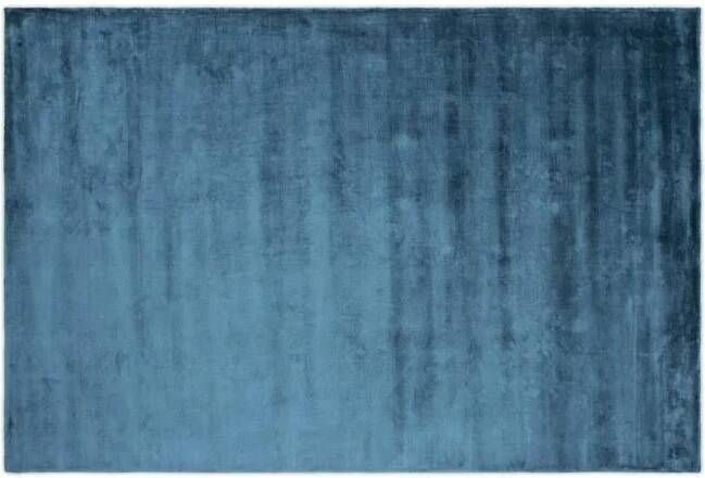 Hioshop Indra vloerkleed 300x200 cm viscose blauw.