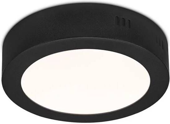 Home Sweet Home Plafondlamp Ska Rond Nickel Metaal 12w