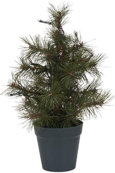 House Doctor Pinus kerstboompje met verlichting