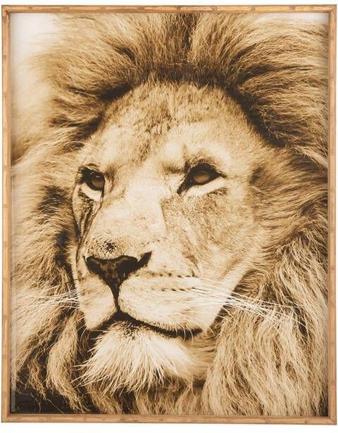 J-Line Wanddecoratie Leeuw Hout Glas Bruin 100x81 CM