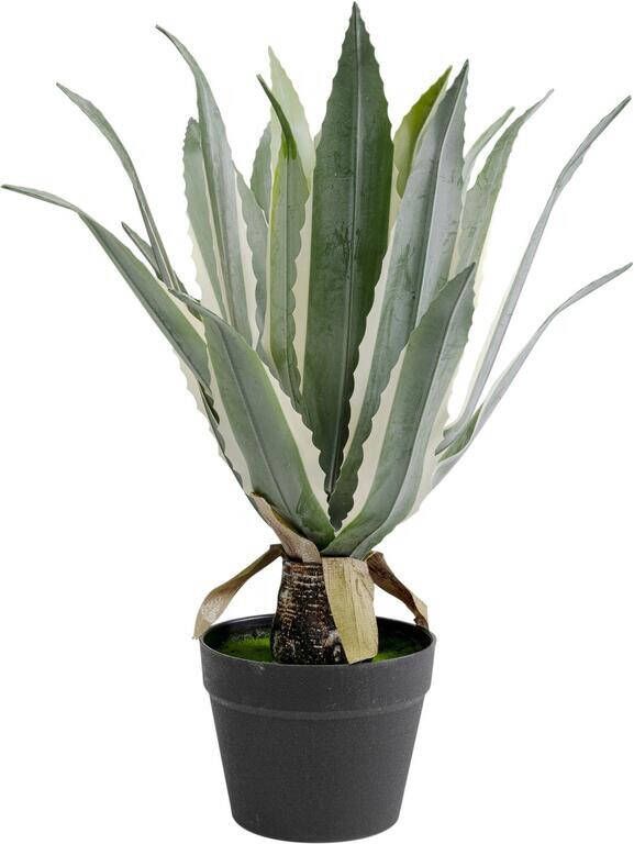Kare Design Kare Kunstplant Agave 50cm