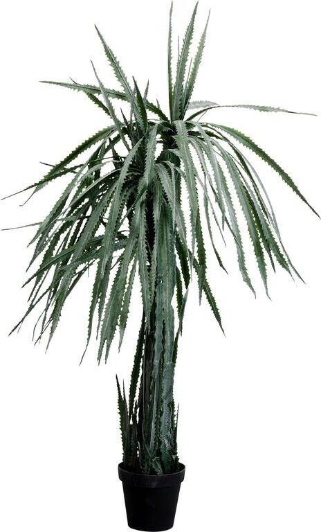 Kare Design Kare Kunstplant Dragon Tree 155cm