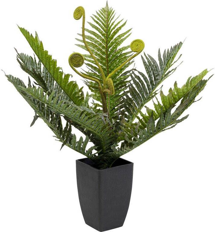 Kare Design Kare Kunstplant Farn 55cm