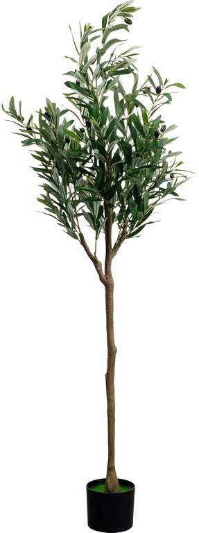 Kare Design Kare Kunstplant Olive Tree 150cm