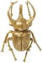 Kare Design Kare Wanddecoratie Atlas Beetle Gold - Thumbnail 1