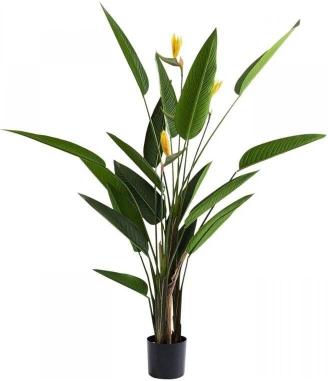 Kare Design Kunstplant Paradise Flowers 190cm
